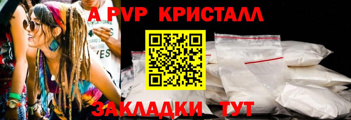 A PVP СК КРИС Долгопрудный