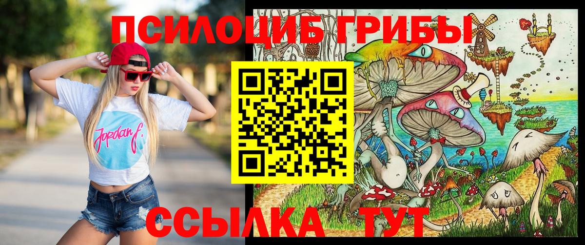 Долгопрудный  Псилоцибиновые грибы MAGIC MUSHROOMS  Вход с VPN 