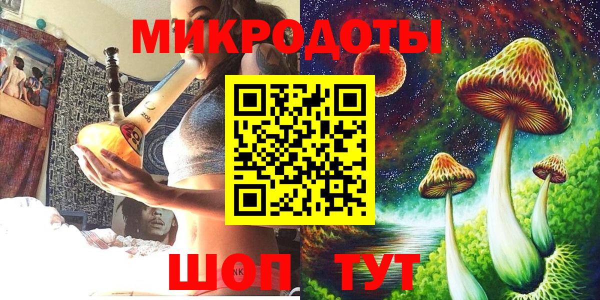 Галлюциногенные грибы Psilocybe Долгопрудный