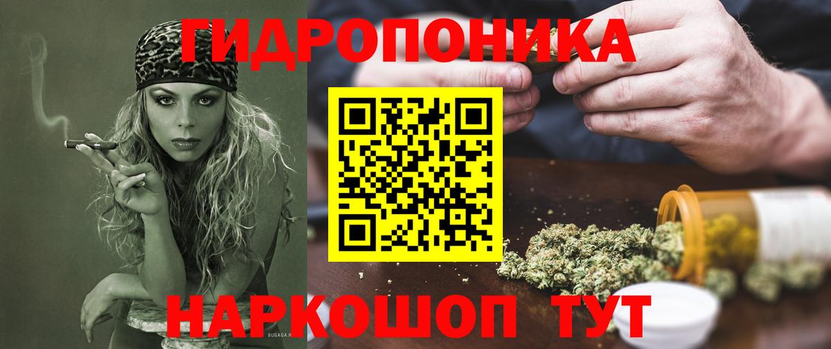 Бошки марихуана White Widow Долгопрудный